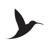 Tatteco logo