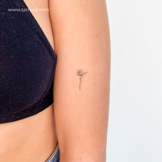 Tatuaje temporal de Strelitzia, ave del paraíso (juego de 3)