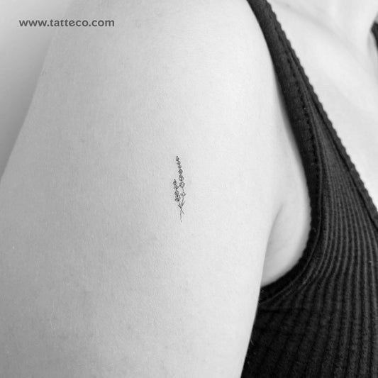 Tatuaje temporal de lavanda de línea fina pequeña - Juego de 3