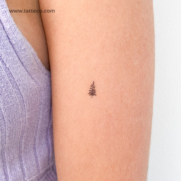 Tiny Pine Tree Temporary Tattoo - Set of 3