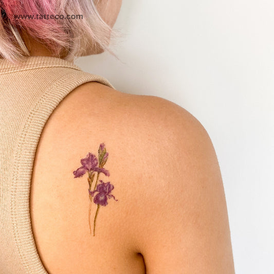 Tatuaje temporal ilustrativo de iris - Juego de 3