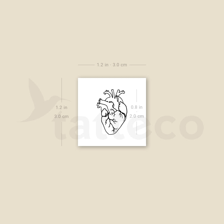 Small Anatomical Heart Temporary Tattoo - Set of 3