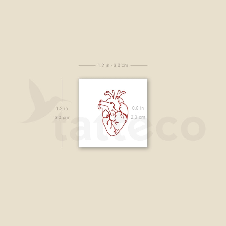 Small Red Anatomical Heart Temporary Tattoo - Set of 3