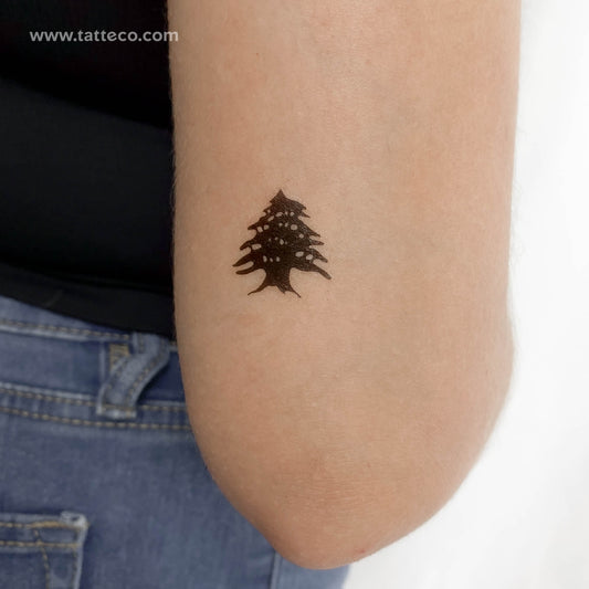 Tatuaje temporal de cedro - Juego de 3