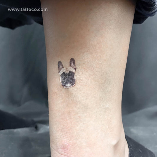 Frenchie Portrait Temporary Tattoo - Set of 3