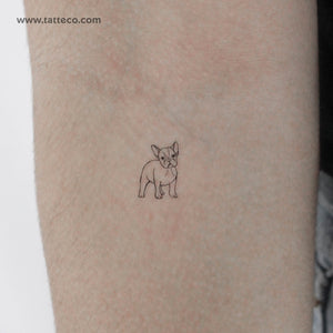 Tiny French Bulldog Temporary Tattoo - Set of 3