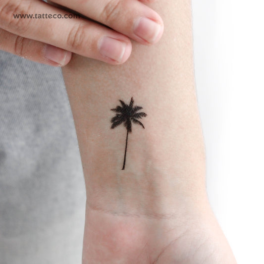 Tatuaje temporal de palmera - Juego de 3
