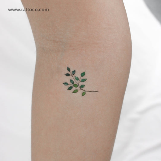 Tatuaje temporal de hojas de Zihee - Juego de 3