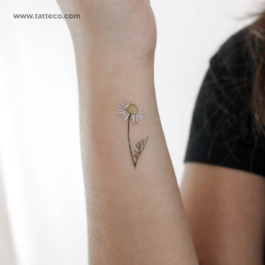 Chamomile By Ann Lilya Temporary Tattoo - Set of 3
