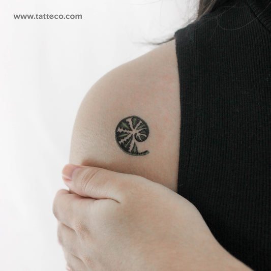 Young Fern By Ann Lilya Temporary Tattoo - Set of 3