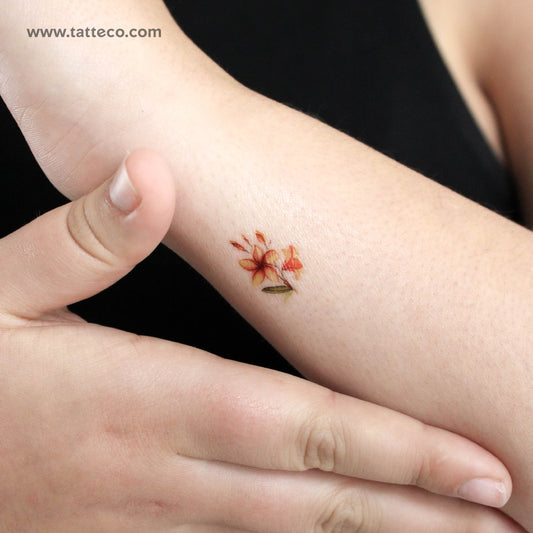 Tatuaje temporal pequeño de plumeria en acuarela (juego de 3)