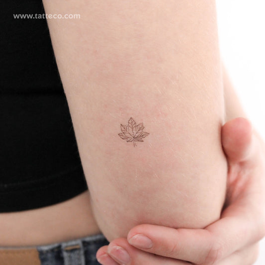 Tatuaje temporal de hoja de arce (juego de 3)