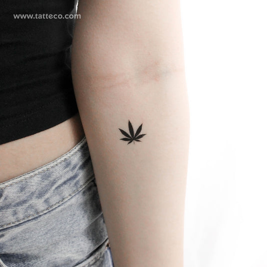Tatuaje temporal de hoja de marihuana - Juego de 3