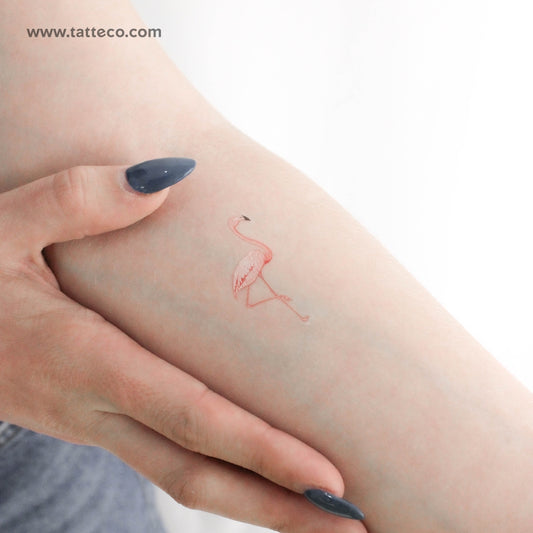 Tatuaje temporal de flamenco rosa - Juego de 3