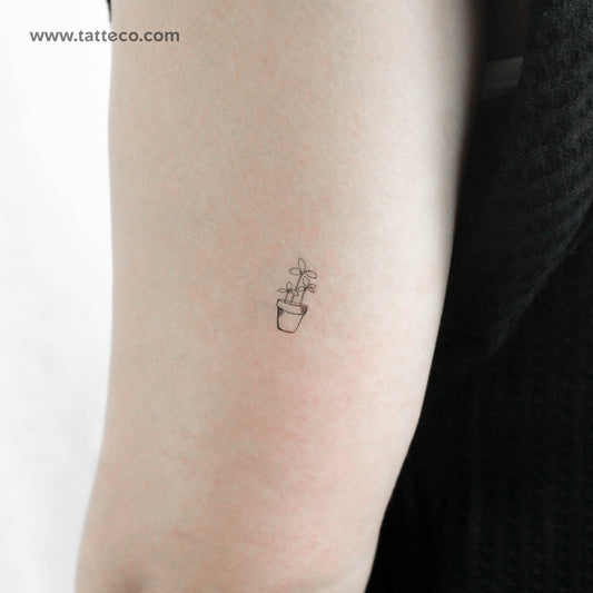 Plant Temporary Tattoo - Set of 3