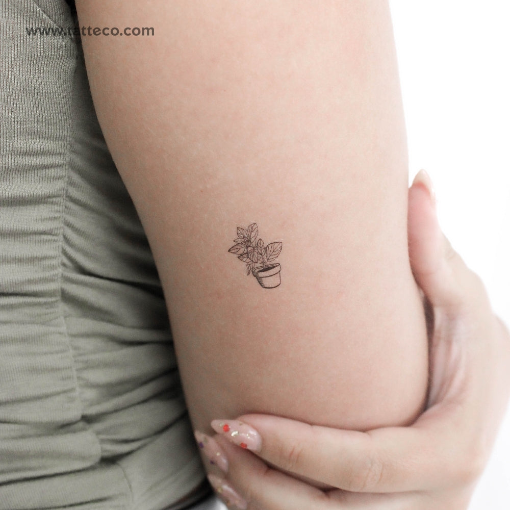 House Plant Temporary Tattoo