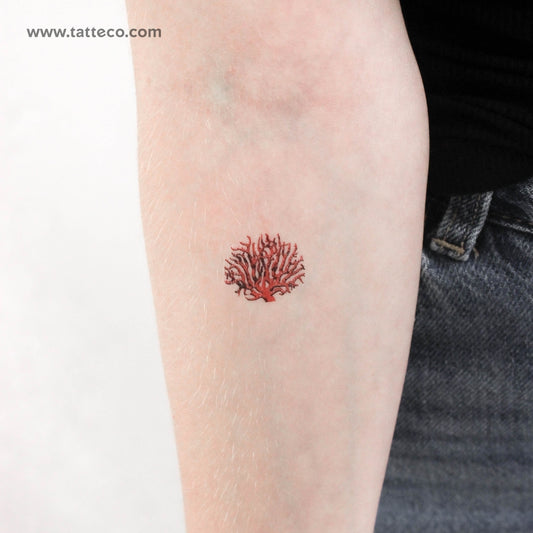 Red Coral Temporary Tattoo - Set of 3