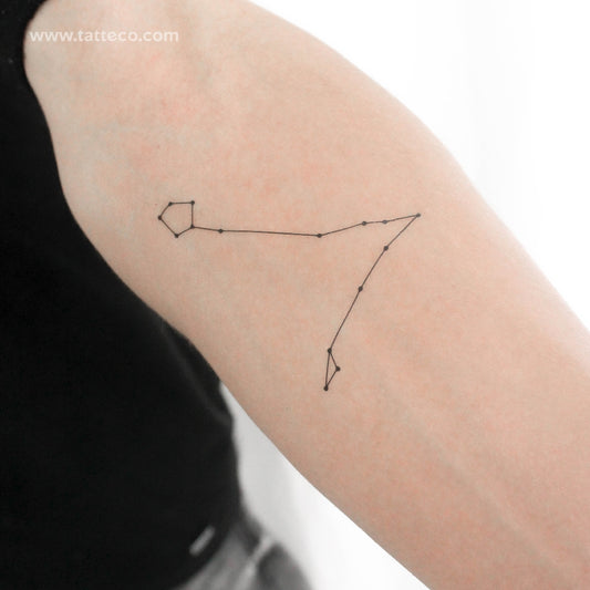 Tatuaje temporal de la constelación de Piscis (juego de 3)