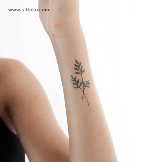 Tatuaje temporal de rama de baya de Zihee (juego de 3)