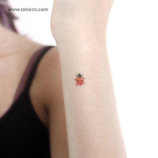 Tatuaje temporal de mariquita - Juego de 3