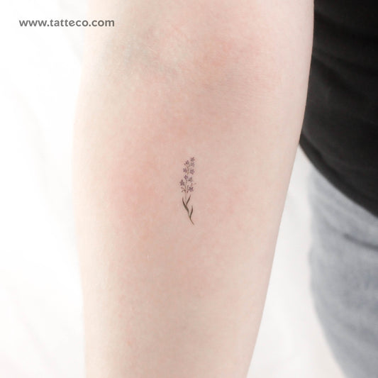 Tatuaje temporal de nomeolvides en acuarela (juego de 3)