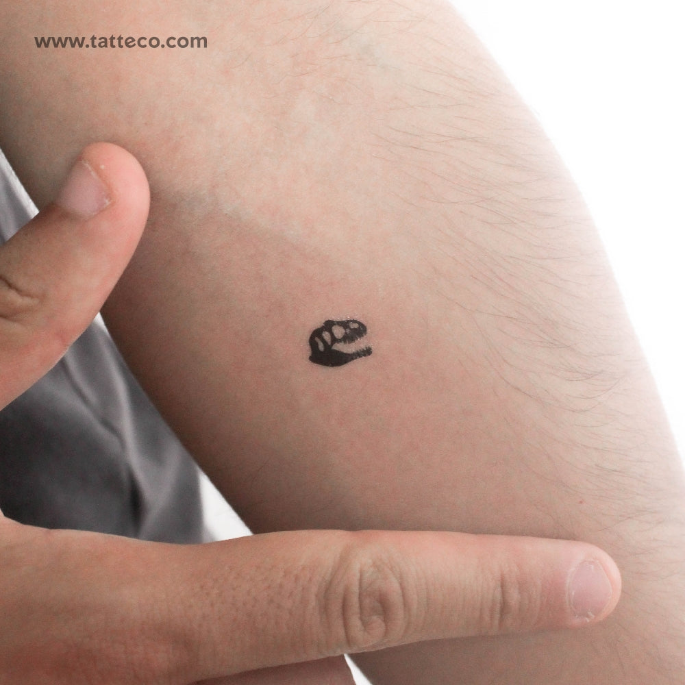 T-Rex Fossil Temporary Tattoo - Set of 3 – Tatteco Temporary Tattoos