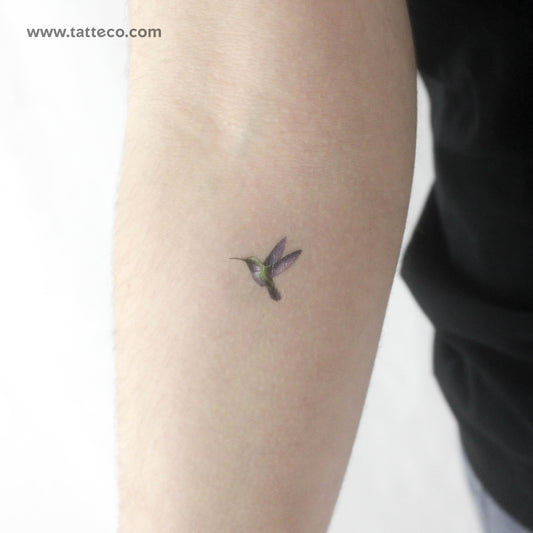 Tatuaje temporal de colibrí en acuarela (juego de 3)