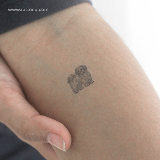 Tatuaje temporal pequeño de Shih Tzu (juego de 3)