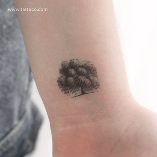 Tatuaje temporal de sauce llorón - Juego de 3