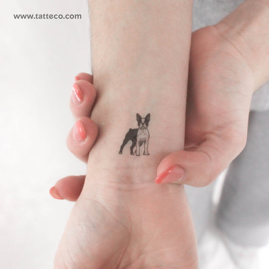 Tatuaje temporal de Boston Terrier - Juego de 3