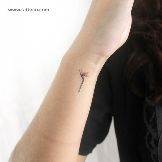 Tatuaje temporal pequeño de ave del paraíso en acuarela (juego de 3)