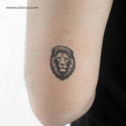 Tatuaje temporal de león negro y gris (juego de 3)