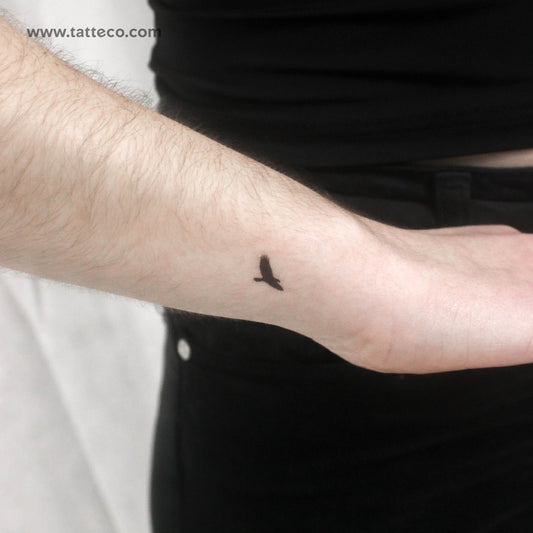 Tatuaje temporal de águila pequeña - Juego de 3