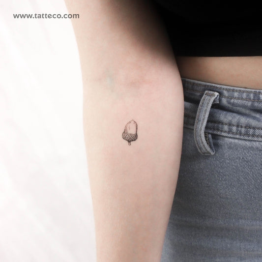 Acorn Temporary Tattoo - Set of 3