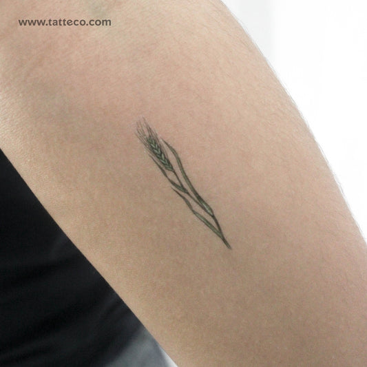 Tatuaje temporal "Trigo verde pequeño" de Ann Lilya (juego de 3)