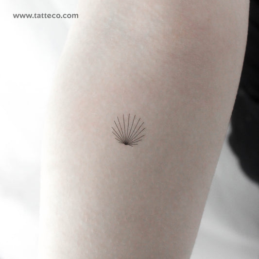 Tatuaje temporal de concha minimalista diminuta - Juego de 3