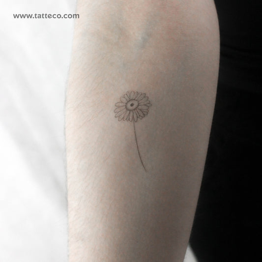Tatuaje temporal de margarita de línea fina - Juego de 3