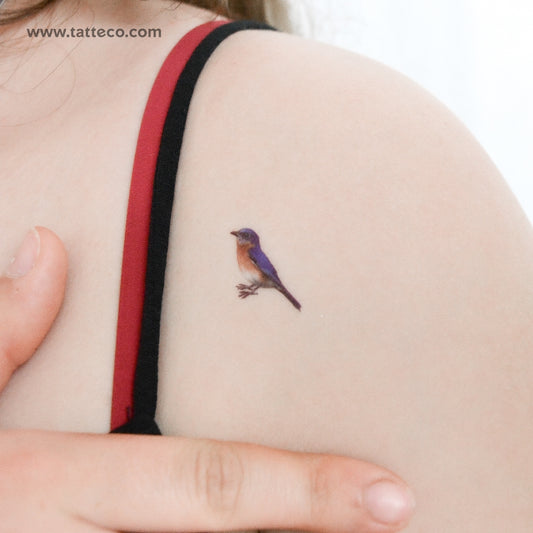 Eastern Bluebird Temporary Tattoo - Set of 3