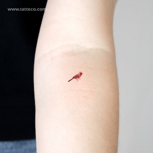 Cardinal Bird Temporary Tattoo - Set of 3