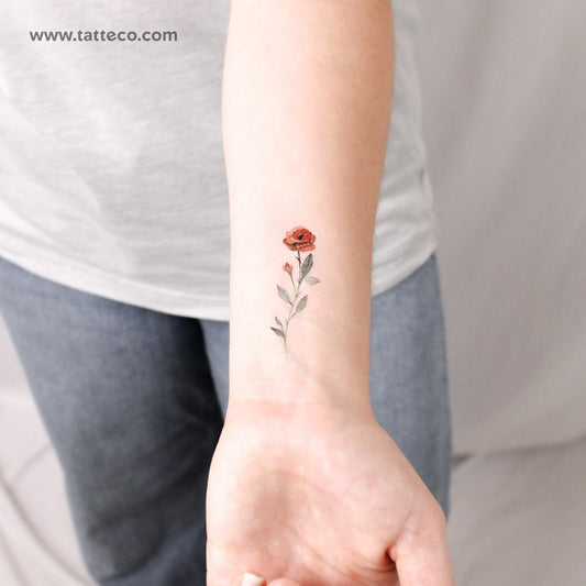 Tatuaje temporal de rosa roja en acuarela (juego de 3)