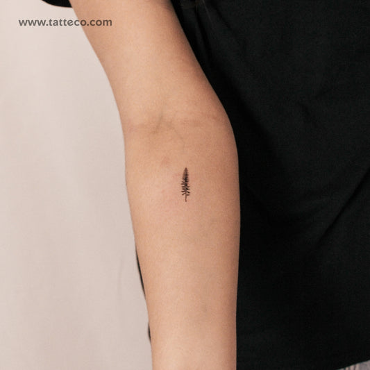 Tatuaje semipermanente de la constelación de puntos de Capricornio (juego de 2)