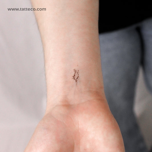 Tulip Shell By Stefano Mazza Temporary Tattoo - Set of 3