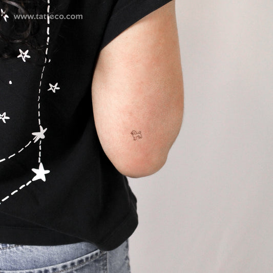 Toy Poodle Temporary Tattoo - Set of 3