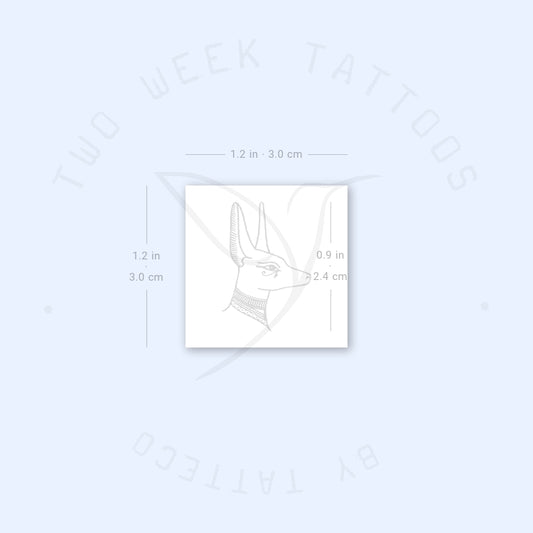 Tatuaje semipermanente de Anubis - Juego de 2