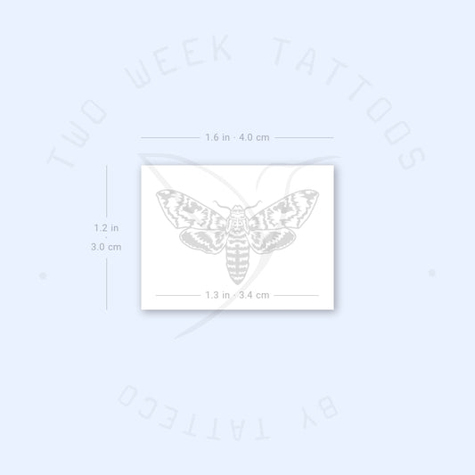 Moth Semi-Permanent Tattoo - Set of 2