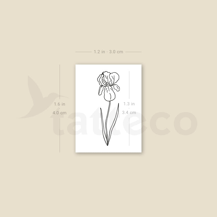 Iris Temporary Tattoo - Set of 3