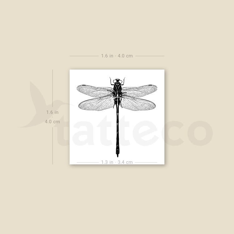 Small Illustrative Dragonfly Temporary Tattoo - Set of 3