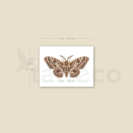 Watercolor Moth Temporary Tattoo - Set of 3