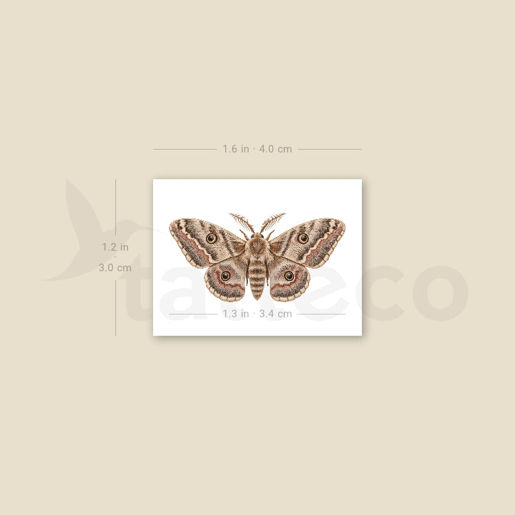 Watercolor Moth Temporary Tattoo - Set of 3