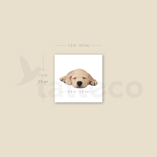 Sleeping Labrador Retriever Temporary Tattoo - Set of 3